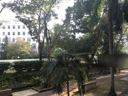 Blk 38 Lorong 5 Toa Payoh (Toa Payoh), HDB 3 Rooms #115826712
